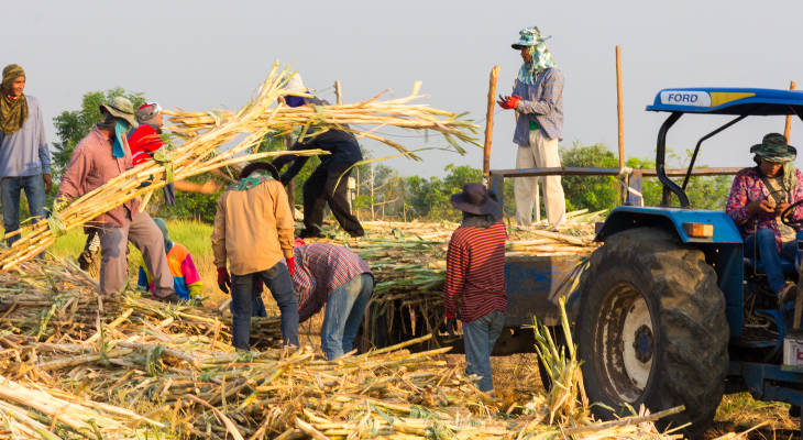 Trading remains in the doldrums in the region but Thai crop shifts could start to make an impact soon.