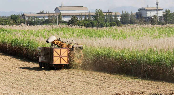 From wet crops to poor quality Thais, the region is beginning to see the market tighten slightly despite surpluses.