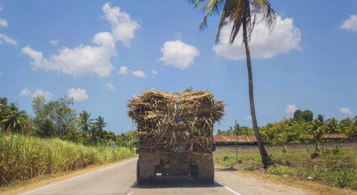 The Thai industry is looking at heavy diversification, the Australian industry is hitting a brick wall and Vietnam still doesn't know what it wants to do.