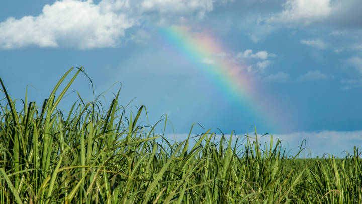 Rain is expected to make a welcome return to Centre-South Brazil in October, but not enough to alleviate the effects of the long drought affecting the region.