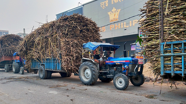 Improved production outlook and carry-over stocks from the previous sugar season make exports feasible